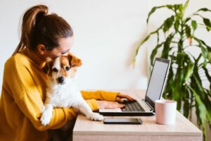 Modelos de trabalho