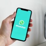 venda em massa pelo WhatsApp